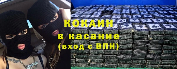 сатива Алексеевка
