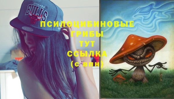 соль ск Иннополис