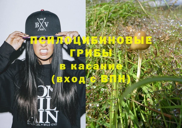бошки Абинск