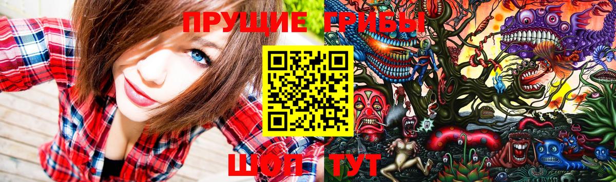 Псилоцибиновые грибы Cubensis Серпухов