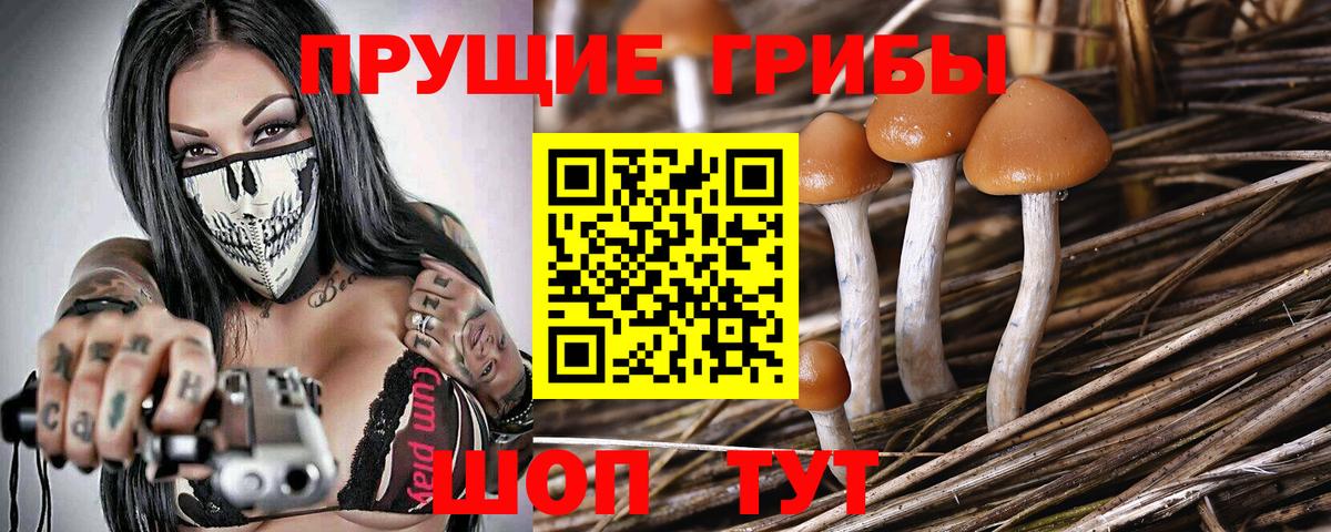 Серпухов  Галлюциногенные грибы MAGIC MUSHROOMS  Вход с VPN 